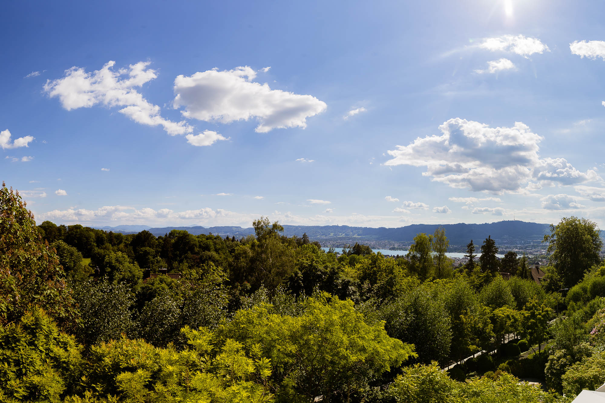 Export x3 1DX26698 Pano Hochzeit 2020 Tatyana & Claudio